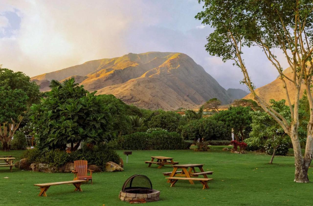 Explore Maui'S Diverse Campgrounds And Uncover The Island'S Beauty From Fresh Perspectives Every Day As You Journey With Aloha Glamp'S Great Jeep Equipped With A Rooftop Tent Паиа Экстерьер фото