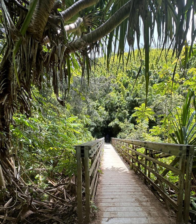 Explore Maui'S Diverse Campgrounds And Uncover The Island'S Beauty From Fresh Perspectives Every Day As You Journey With Aloha Glamp'S Great Jeep Equipped With A Rooftop Tent Паиа Экстерьер фото